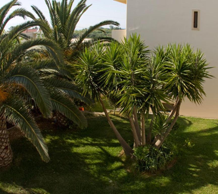 Olga Suites Maleme Dış mekan fotoğraf